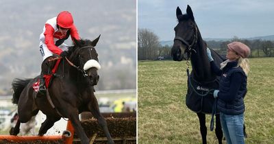 Big Buck's: At home with the Cheltenham Festival legend and winner of over £1.3million