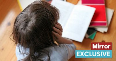 One in four 11-year-olds struggled with reading pre-Covid as MP warns of 'crisis'