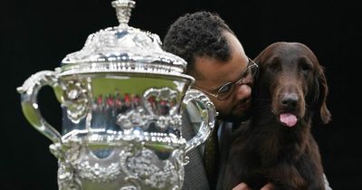 Who won Best in Show at Crufts 2022? All the winners from this year's show