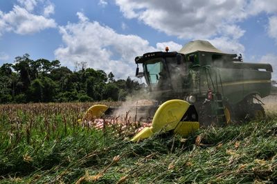 Agriculture giant Brazil nervously eyes Ukraine war