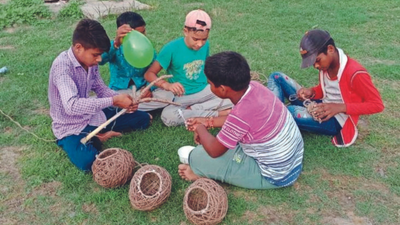 Birds have a new nesting ground in Noida — Sector 137
