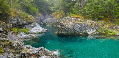 How New Zealand's review of ecologically important land could open the door to more mining on conservation land