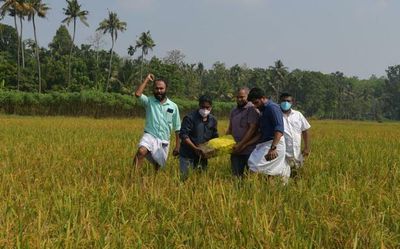 Top Kerala News developments today