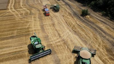 Ukraine war pushes grain prices up, poses 'moral conflict' for Australian farmers