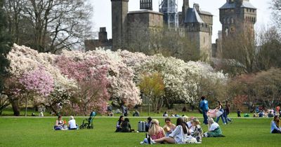 Met Office forecast as Wales due to see return of sunshine this week