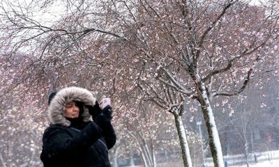 ‘Bomb cyclone’ storm dumps snow across eastern US