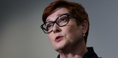 Australia launches action against Russia over MH17, in bid for reparations