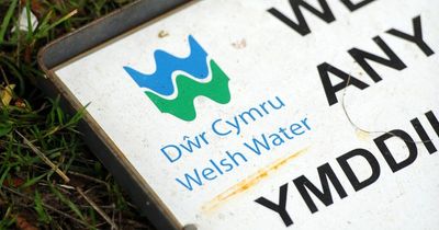 Water treatment facility covering up to 100 acres set to be built in Merthyr Tydfil