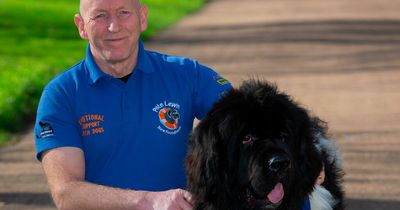 Crufts 2022: Hero water rescue dog crowned UK's most heroic canine thanks to life-saving work