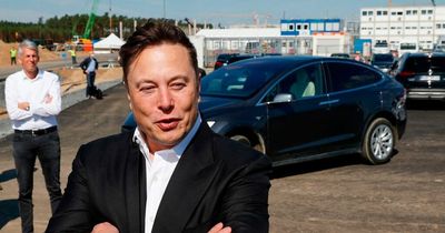 Elon Musk challenges Vladimir Putin to a fight for Ukraine in 'single combat'