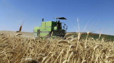 Russia Gradually Resuming Black Sea Wheat Exports