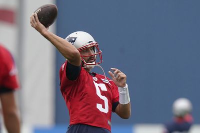 Report: Patriots agree to terms on two-year deal for Brian Hoyer