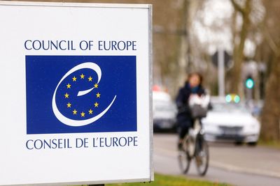 Russian delegation suspends participation in Council of Europe body - RIA