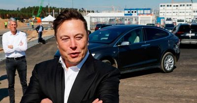 Elon Musk challenges Vladimir Putin to fight 'single combat' for Ukraine