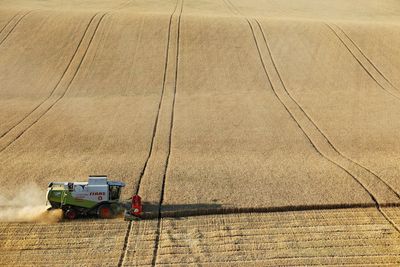 Russia temporarily bans grain exports to ex-Soviet countries