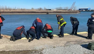 Body pulled from Lake Michigan in South Chicago