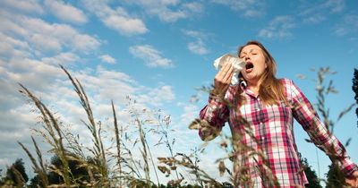 Met Office issues urgent hay fever warning to millions as pollen bomb set to hit the UK