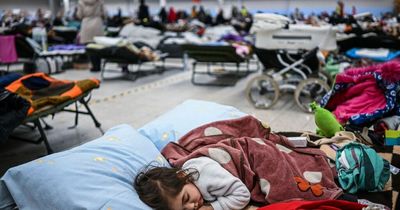Homes for Ukraine Scheme Northern Ireland: How to apply to house refugees