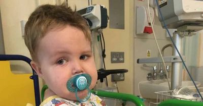 Boy, 5, with rare immune disorder lives in isolation and can't go to school