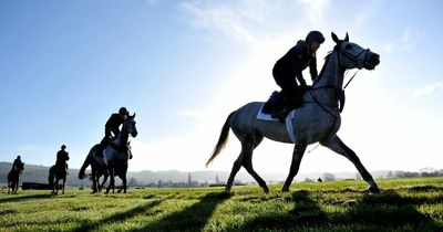 Cheltenham Festival 2022 weather forecast: Rain followed by scorcher