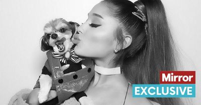 World’s most luxurious dogs have been kissed by Ariana Grande and Taylor Swift
