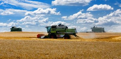 How the war in Ukraine will affect food prices