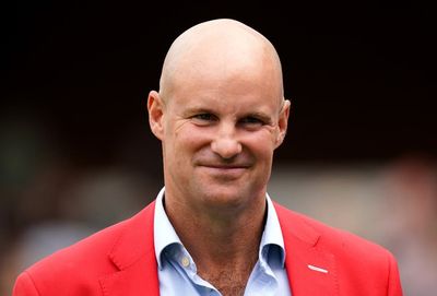 Andrew Strauss wants new England Test coach in place by start of summer