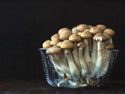 Washington State Legislature Proposes $200K To Fund Psilocybin Research