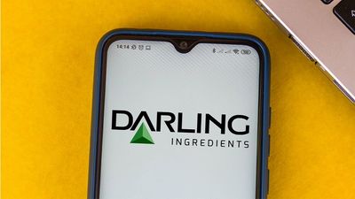 Among Top Renewable Energy Stocks, Darling Ingredients Forms New Buy Point After Strong Earnings