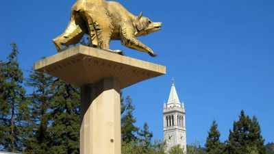California NIMBYs Are Ruining U.C. Berkeley. Stop Them Before They Kill Again.