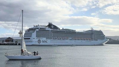 Cruise ship return cannot come fast enough for Tasmanian retailers after COVID crisis