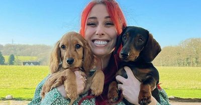 Stacey Solomon decorates Pickle Cottage for Easter and gives pool update