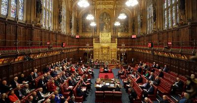 Lords peer blocked from debate after being accused of nodding off in the House