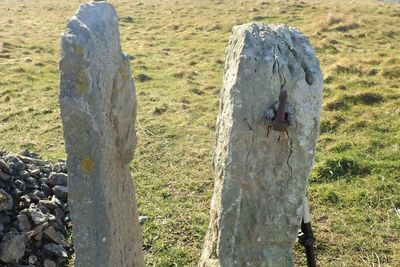 Country diary: In these stones lie clues to the past