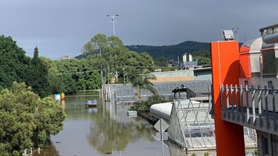Brisbane floods damage University of Queensland glasshouses, result in 'huge loss of knowledge'