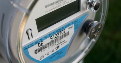 Martin Lewis urges everyone to check gas and electricity meters on March 31