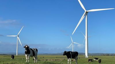 BlueScope promises steel for first NSW-built wind turbines after securing $55m grant