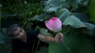 Scientists Create Self-Cleaning Bioplastic Inspired by Lotus