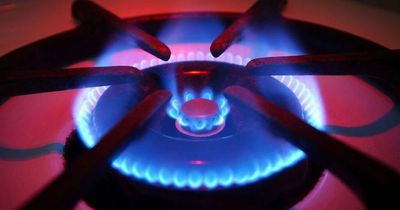 Octopus Energy becomes first supplier to offer customers tariff under price cap