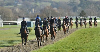 Cheltenham Festival 2022: Race schedule, TV channel, weather, and everything else you need to know