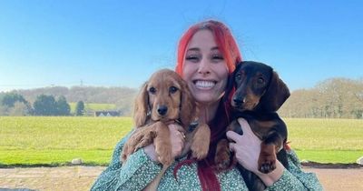 Stacey Solomon issues Pickle Cottage renovation update as she works on Easter door