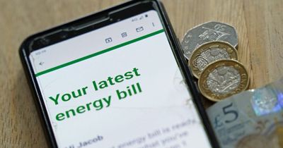 Octopus Energy first supplier to offer customers new tariff £50 under price cap