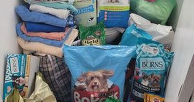 Grangemouth pet shop looking for donations to help animals and pets in Ukraine
