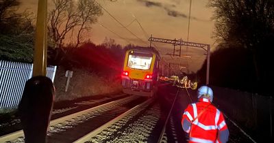 Yobs throw a LOG in front an oncoming train - starting a fire and bringing down power lines