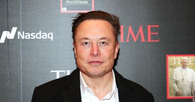 Elon Musk challenges Vladimir Putin to a fight for Ukraine in 'single combat'