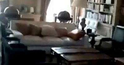 Inside Russian oligarch's UK mansion occupied by squatters demanding homes for refugees