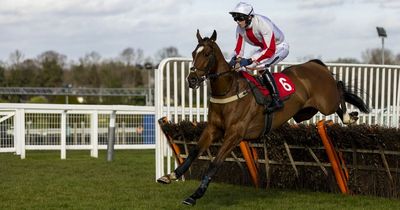 Shallwehaveonemore dies as Cheltenham Festival 2022 struck by tragedy on day one