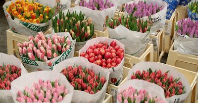 Mother’s Day 2022 flower deals and delivery dates from Moonpig, M&S, Bloom and Wild and more