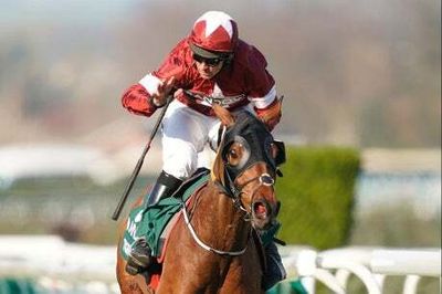 Farewell to Tiger Roll: Racing’s little legend set to bow out chasing more Cheltenham Festival history