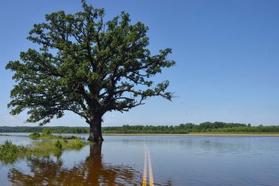 The Big Sneeze: Climate change to make pollen season nastier
